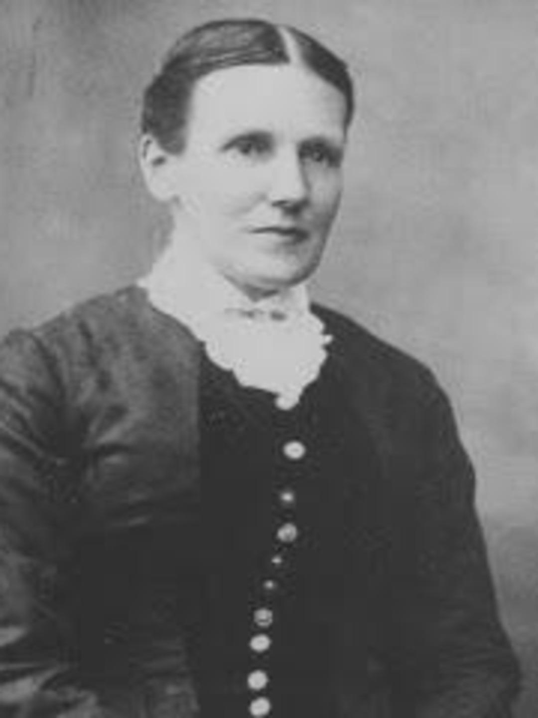 Louisa Rogers (1839 - 1904) Profile
